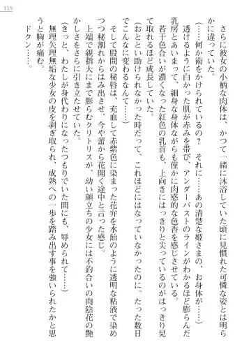 [Lutein - Yamamoto Saki] 性隷剣士エレーナ Fhentai - Page 115