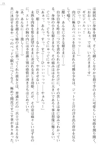 [Lutein - Yamamoto Saki] 性隷剣士エレーナ Fhentai - Page 29