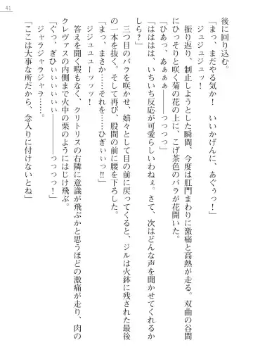 [Lutein - Yamamoto Saki] 性隷剣士エレーナ Fhentai - Page 41