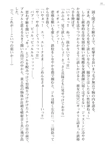 [Lutein - Yamamoto Saki] 性隷剣士エレーナ Fhentai - Page 86