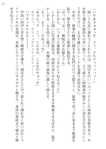 [Lutein - Yamamoto Saki] 性隷剣士エレーナ Fhentai - Page 89