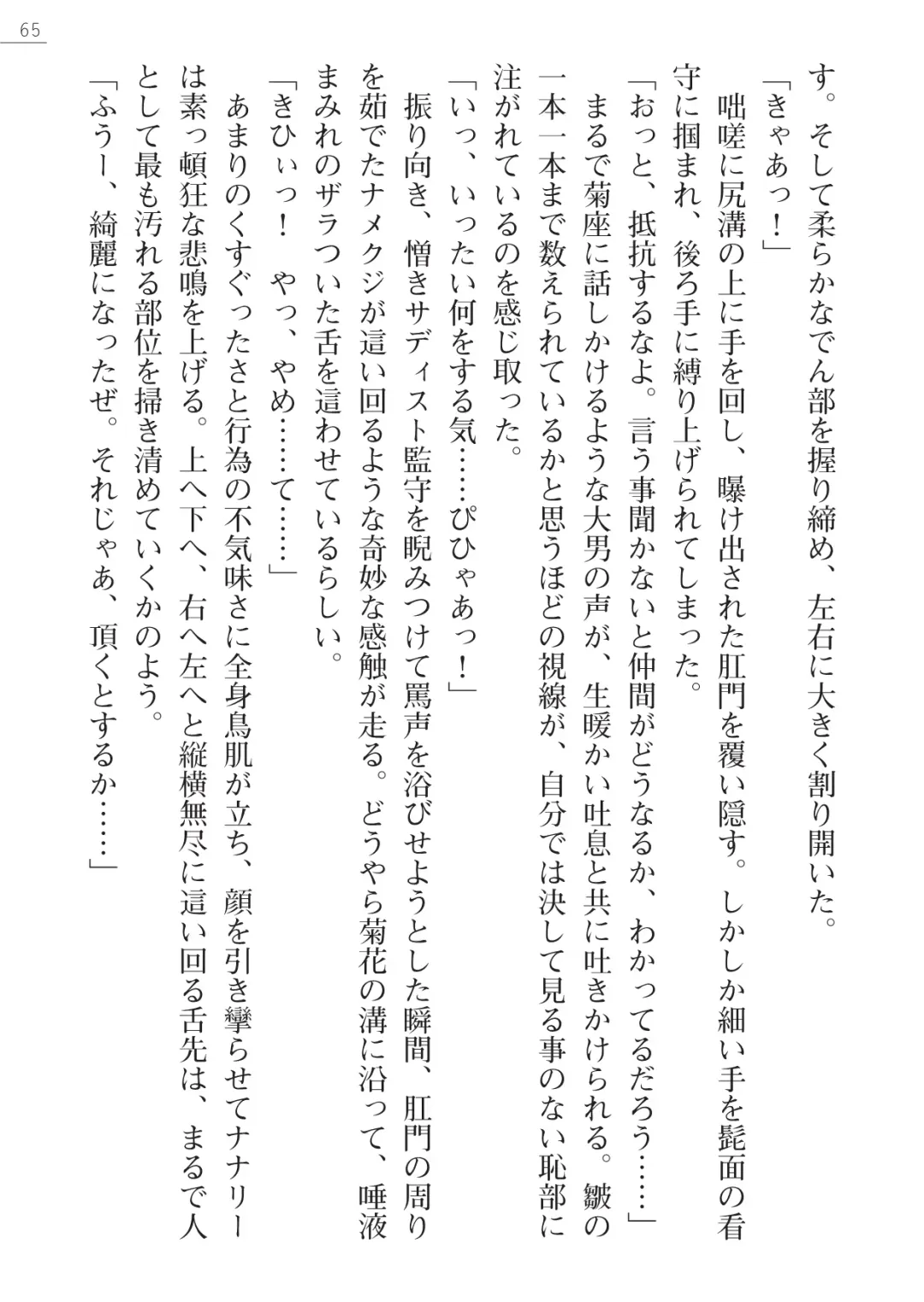 [Maineko Ruru - Yamamoto Saki] Seirei Kanchou Nanaly - Ingoku no Horyo Shuuyoujo Fhentai - Page 65