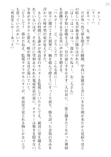 [Maineko Ruru - Yamamoto Saki] Seirei Kanchou Nanaly - Ingoku no Horyo Shuuyoujo Fhentai - Page 110