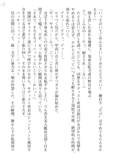 [Maineko Ruru - Yamamoto Saki] Seirei Kanchou Nanaly - Ingoku no Horyo Shuuyoujo Fhentai - Page 37