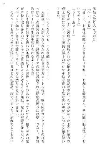 [Maineko Ruru - Yamamoto Saki] Seirei Kanchou Nanaly - Ingoku no Horyo Shuuyoujo Fhentai - Page 39