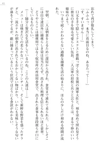 [Maineko Ruru - Yamamoto Saki] Seirei Kanchou Nanaly - Ingoku no Horyo Shuuyoujo Fhentai - Page 43