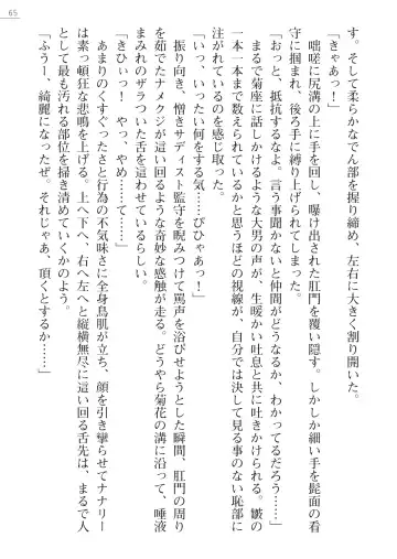 [Maineko Ruru - Yamamoto Saki] Seirei Kanchou Nanaly - Ingoku no Horyo Shuuyoujo Fhentai - Page 65