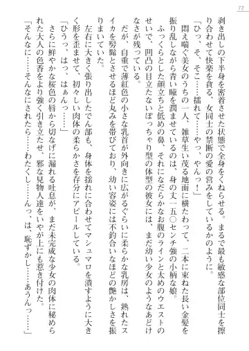 [Maineko Ruru - Yamamoto Saki] Seirei Kanchou Nanaly - Ingoku no Horyo Shuuyoujo Fhentai - Page 72