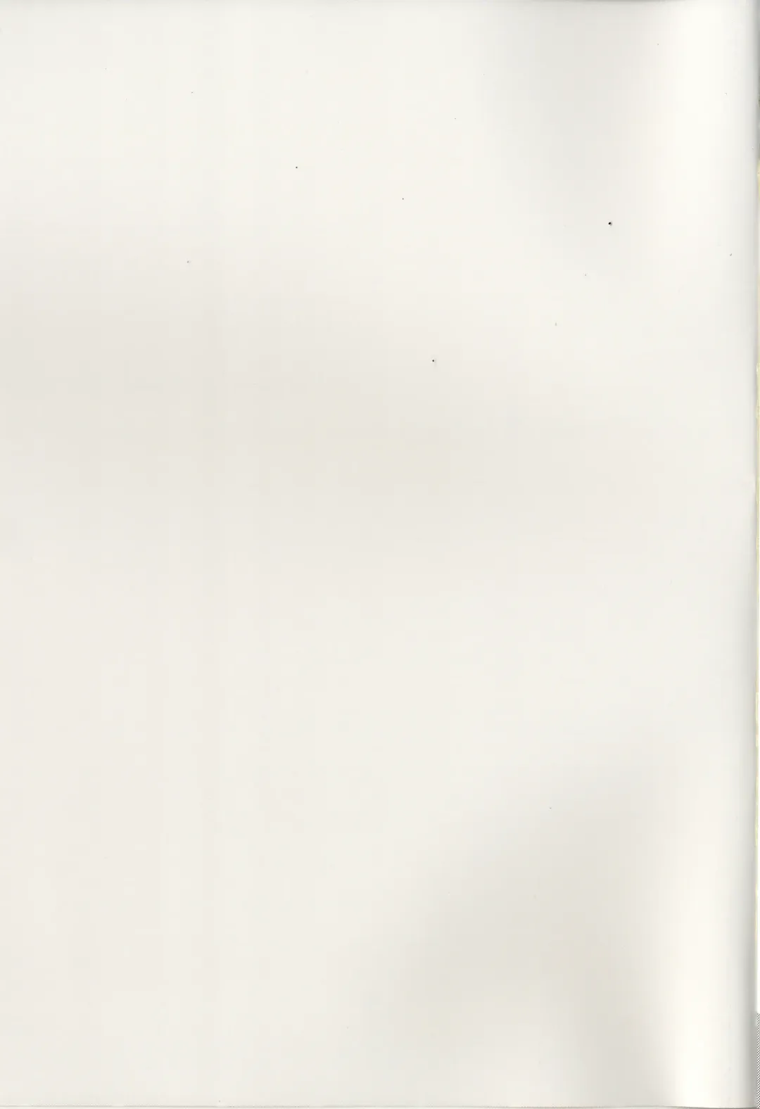 [Mei] Masaka no Seijunsha Fhentai - Page 31