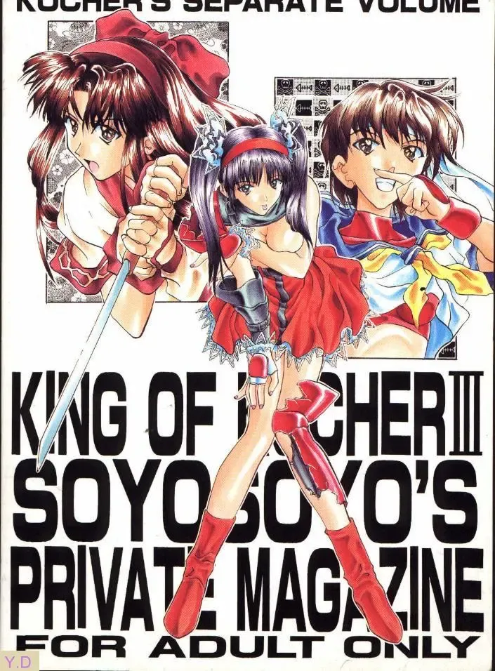 [Soyosoyo] Kocher Ou Sonosan - King of Kocher III SOYOSOYO'S Private Magazine Fhentai - Page 27