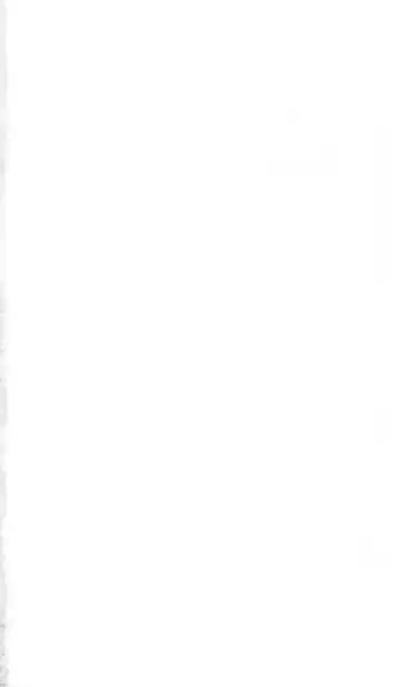 [Bekkankou] FORTUNE ARTERIAL 白編 Fhentai - Page 9