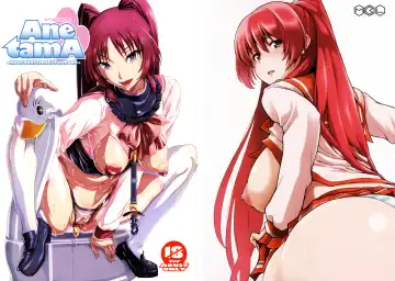 Ane tamA -Kousaka Tamaki Funbook- Fhentai - Page 32