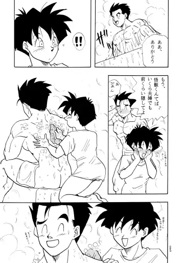 [Shouji Haruko - Shouji Haruzo] Z Fhentai - Page 25