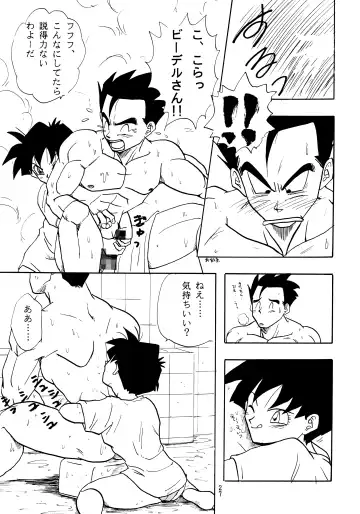 [Shouji Haruko - Shouji Haruzo] Z Fhentai - Page 27