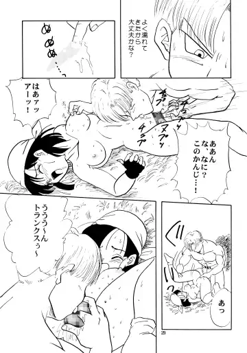 [Shouji Haruko] ZZ Fhentai - Page 29