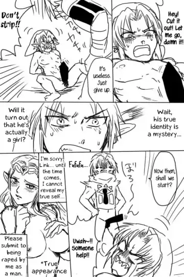[Wasabi] Link to Zelda ga Jun Ai Ecchi suru Manga | Link and Zelda Having a Pure-Love Sex Manga Fhentai - Page 6