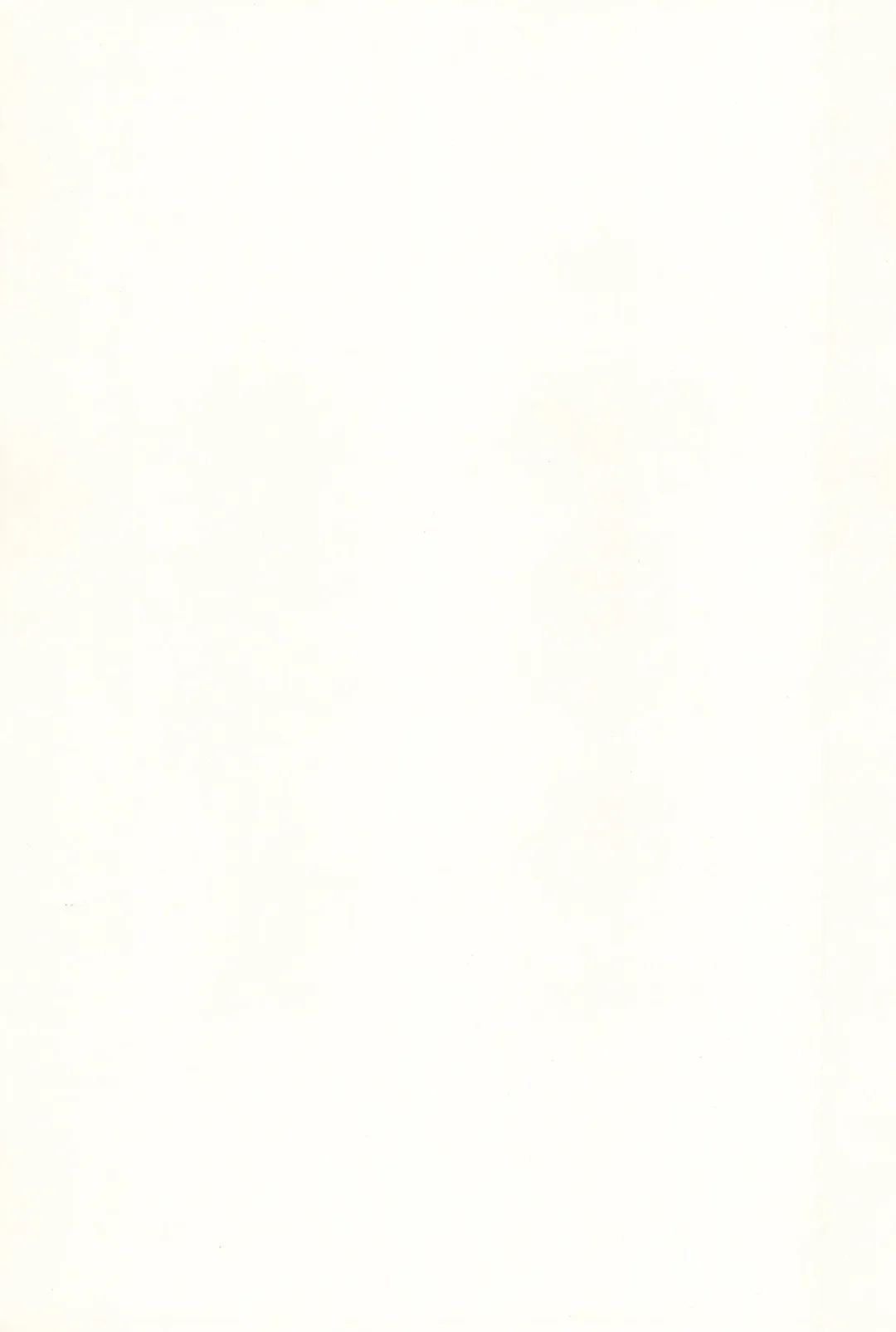 [Zinan] Sakura Memorial Fhentai - Page 3