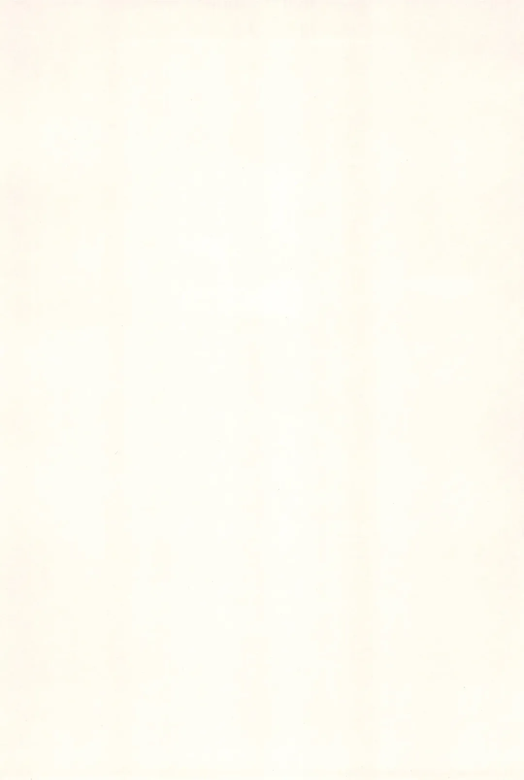 [Zinan] Sakura Memorial Fhentai - Page 4