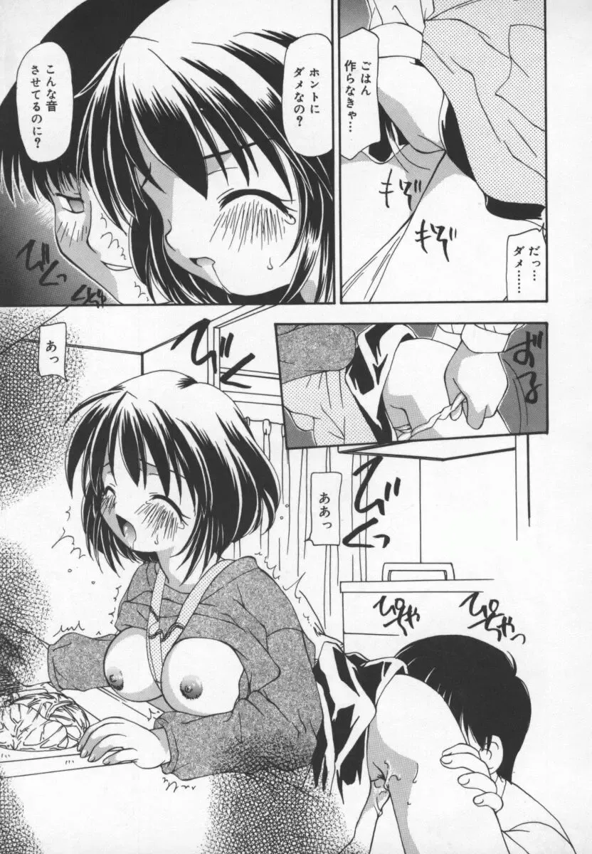 [Sou Akiko] Cats On The Black Cage Fhentai - Page 13