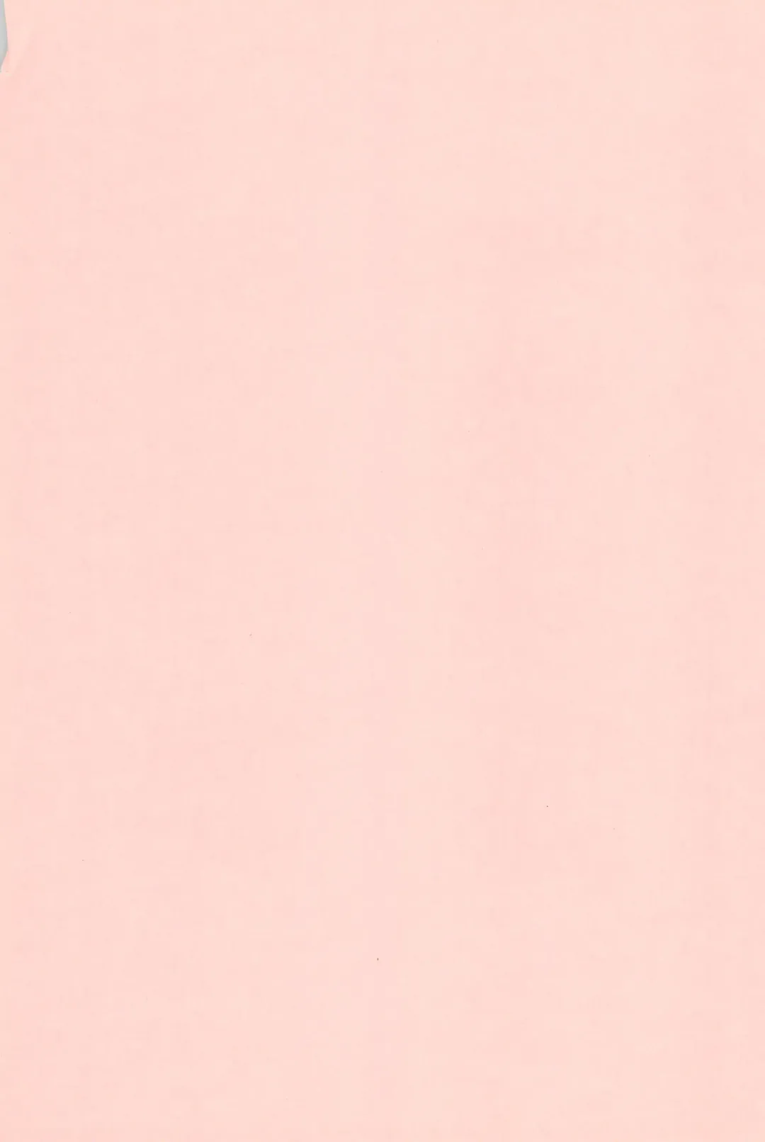 [Shimazaki Lem] Chiyo Champloo Fhentai - Page 3