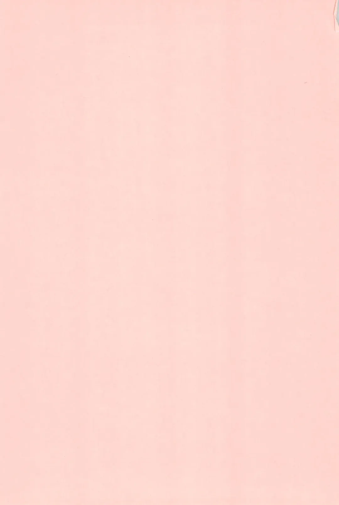 [Shimazaki Lem] Chiyo Champloo Fhentai - Page 4