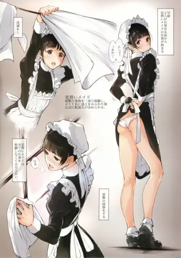 [Tukinowagamo] MAID IROIRO Fhentai - Page 5