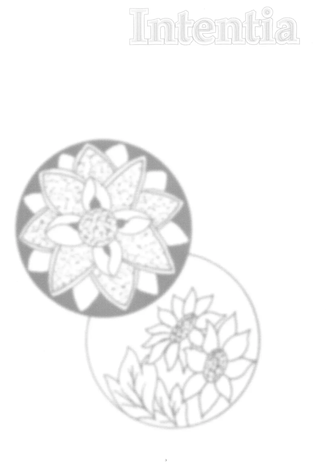 [Kantamaki Yui - Minchi] Intentia Fhentai - Page 3