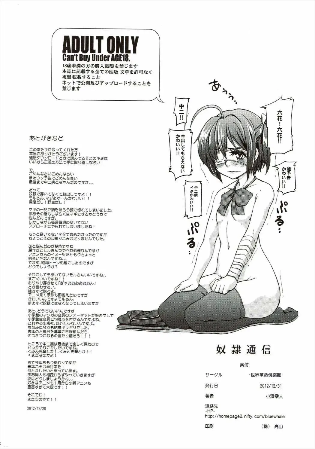 [Ozawa Reido] Dorei Tsuushin Fhentai - Page 29