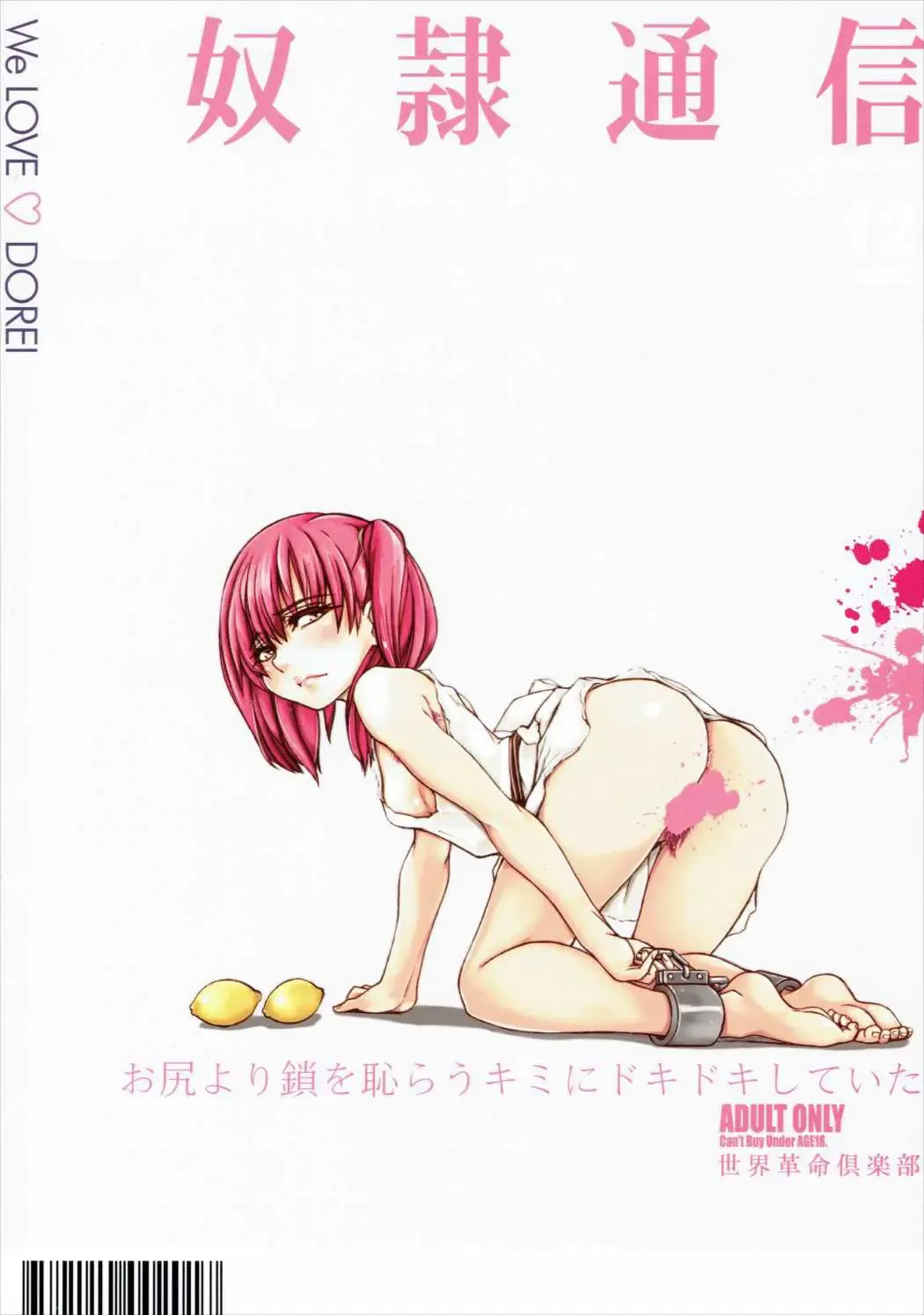 [Ozawa Reido] Dorei Tsuushin Fhentai - Page 30