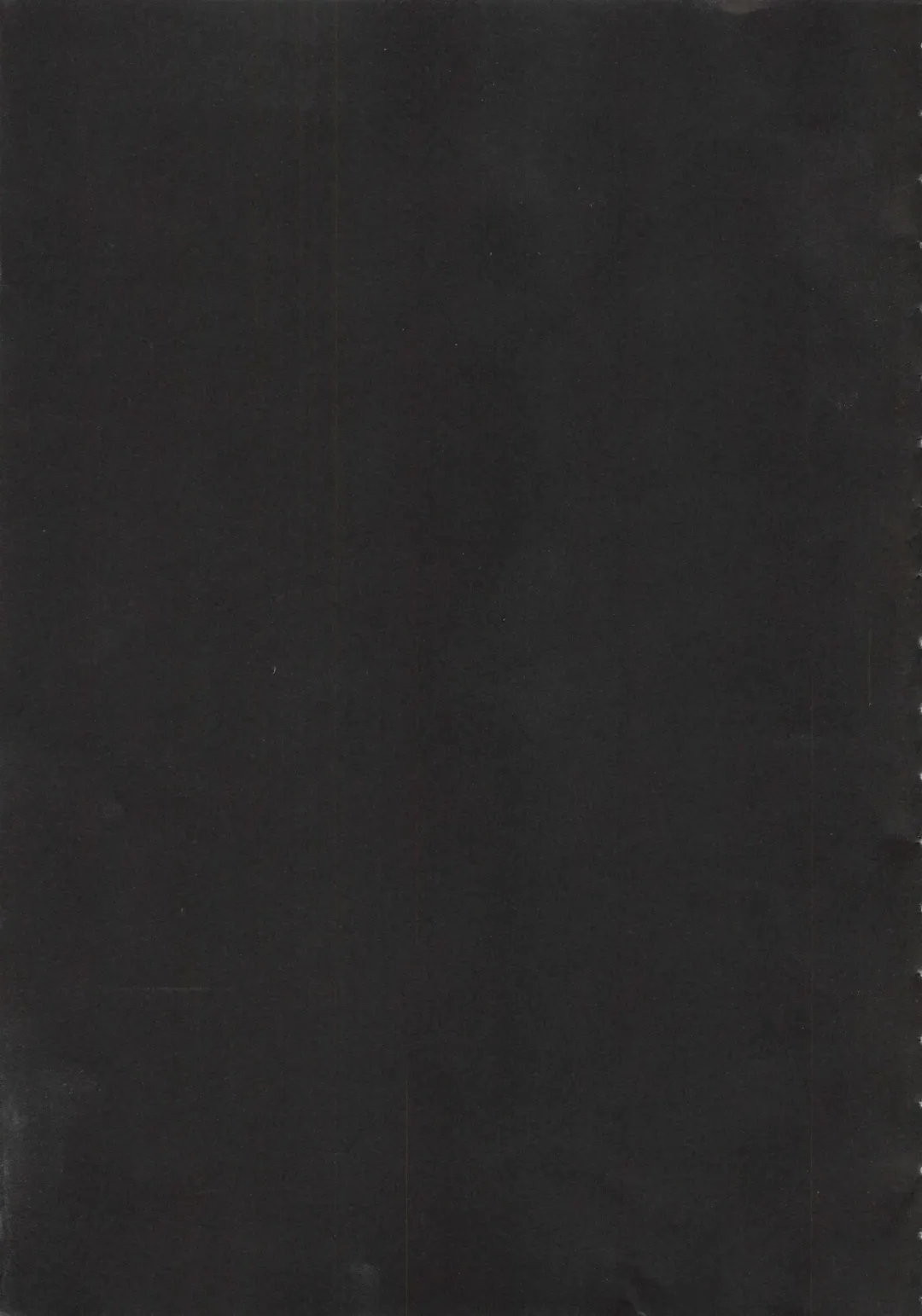 [Kokonoki Nao] Second Virgin Fhentai - Page 4