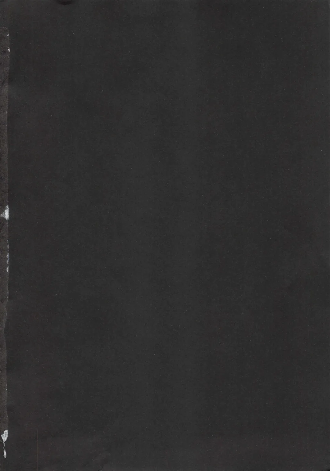 [Kokonoki Nao] Second Virgin Fhentai - Page 5