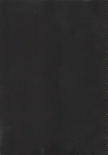 [Kokonoki Nao] Second Virgin Fhentai - Page 4