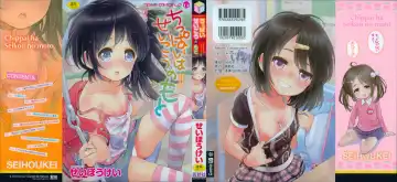 [Seihoukei] Chippai ha Seikou no Moto |  A Flat Chest is the Key for Success Fhentai - Page 2