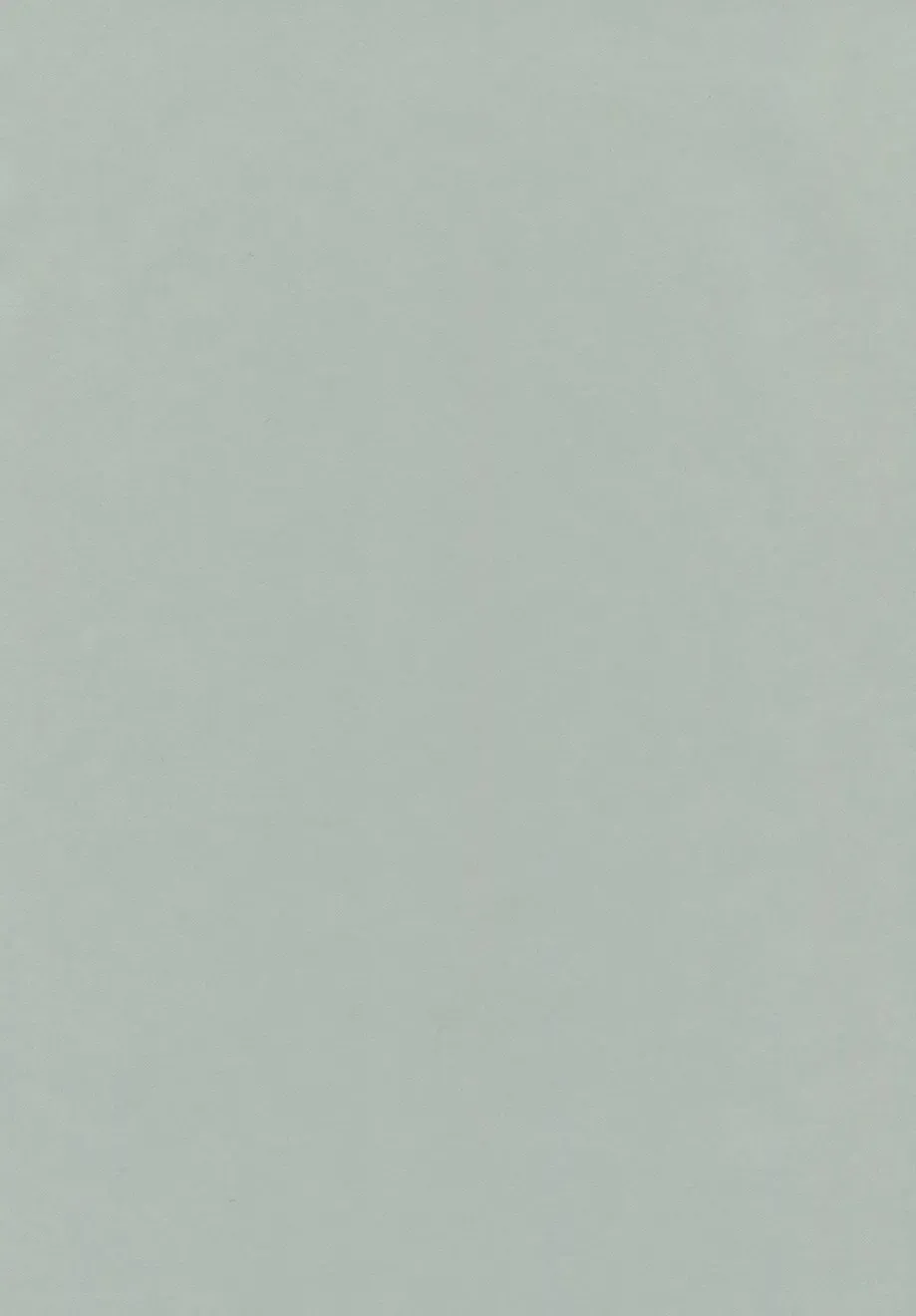 [Mikami Takeru] I'm here saying nothing (decensored) Fhentai - Page 2