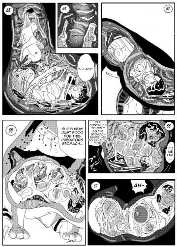 [Stuka] Kaeru marunomi -  Frog Vore Fhentai - Page 10