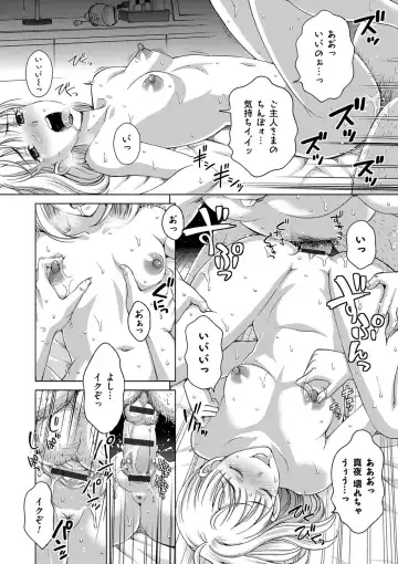 [Shiraishi Nagisa] Tsuma no Naka no Shoufu to Shukujo Fhentai - Page 42