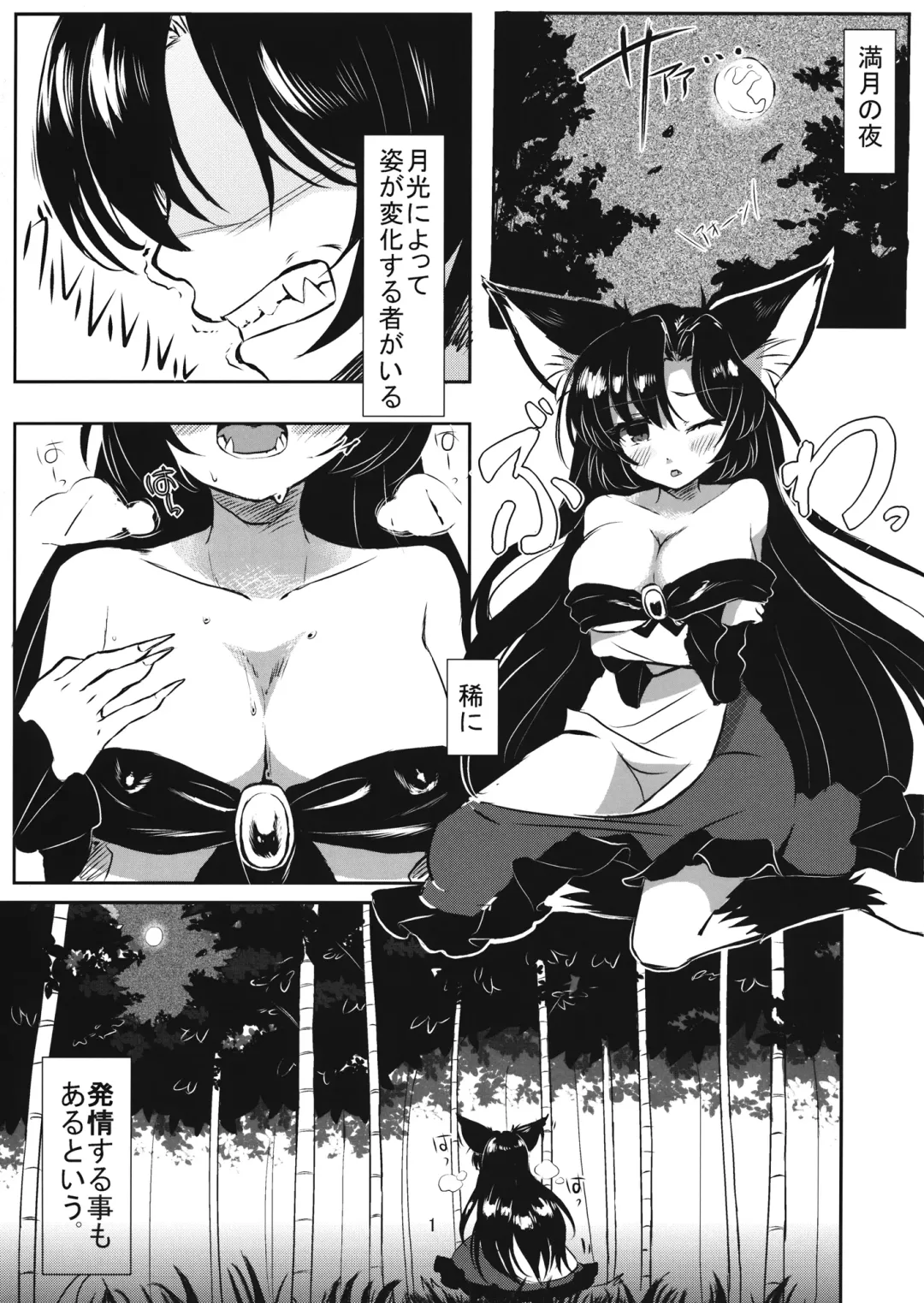 [Hakiata] Hatsujou Werewolf Fhentai - Page 2