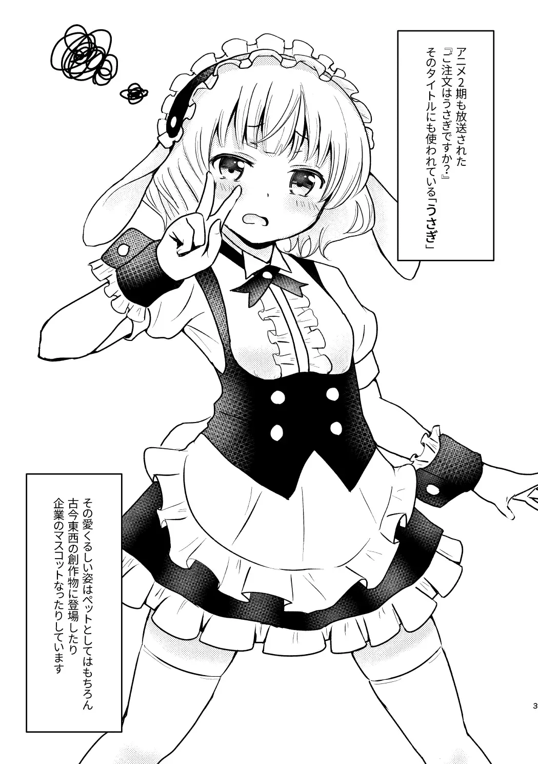 [Hirame Guard] Lapin Panpan Fhentai - Page 3