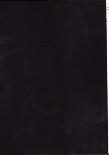 [Inugami Johnny] Caesar Salad Ontama Nose Fhentai - Page 2