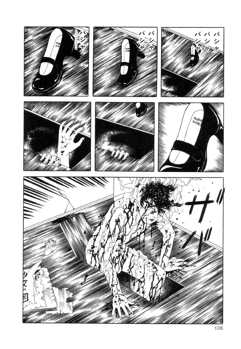 [Maruo Suehiro] Rose Colored Monster Fhentai - Page 107