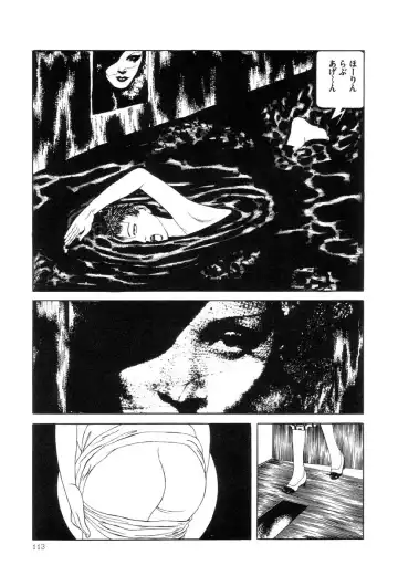 [Maruo Suehiro] Rose Colored Monster Fhentai - Page 114