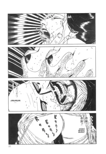 [Maruo Suehiro] Rose Colored Monster Fhentai - Page 29