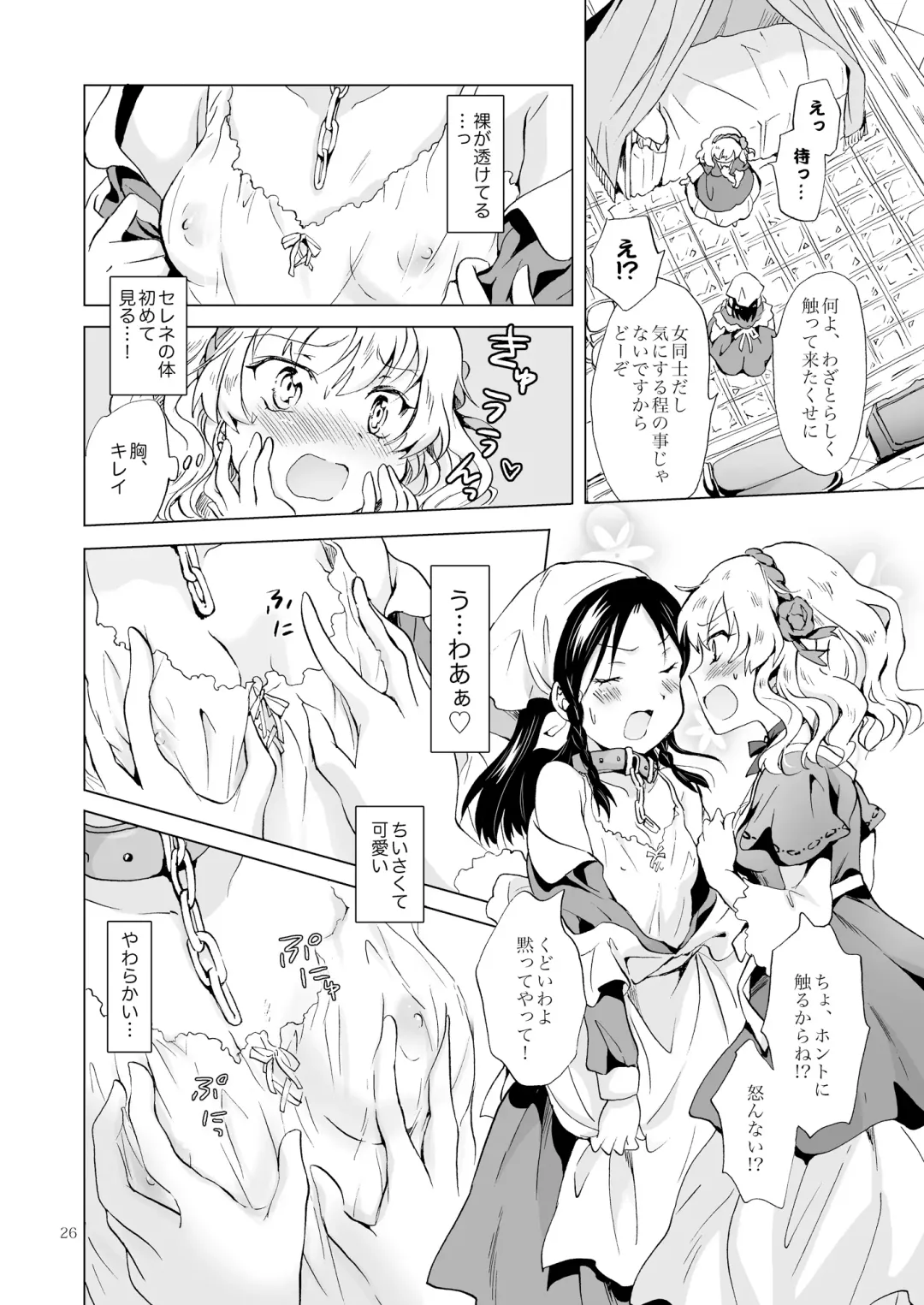 [Mira] Hime-sama to Dorei-chan Fhentai - Page 25