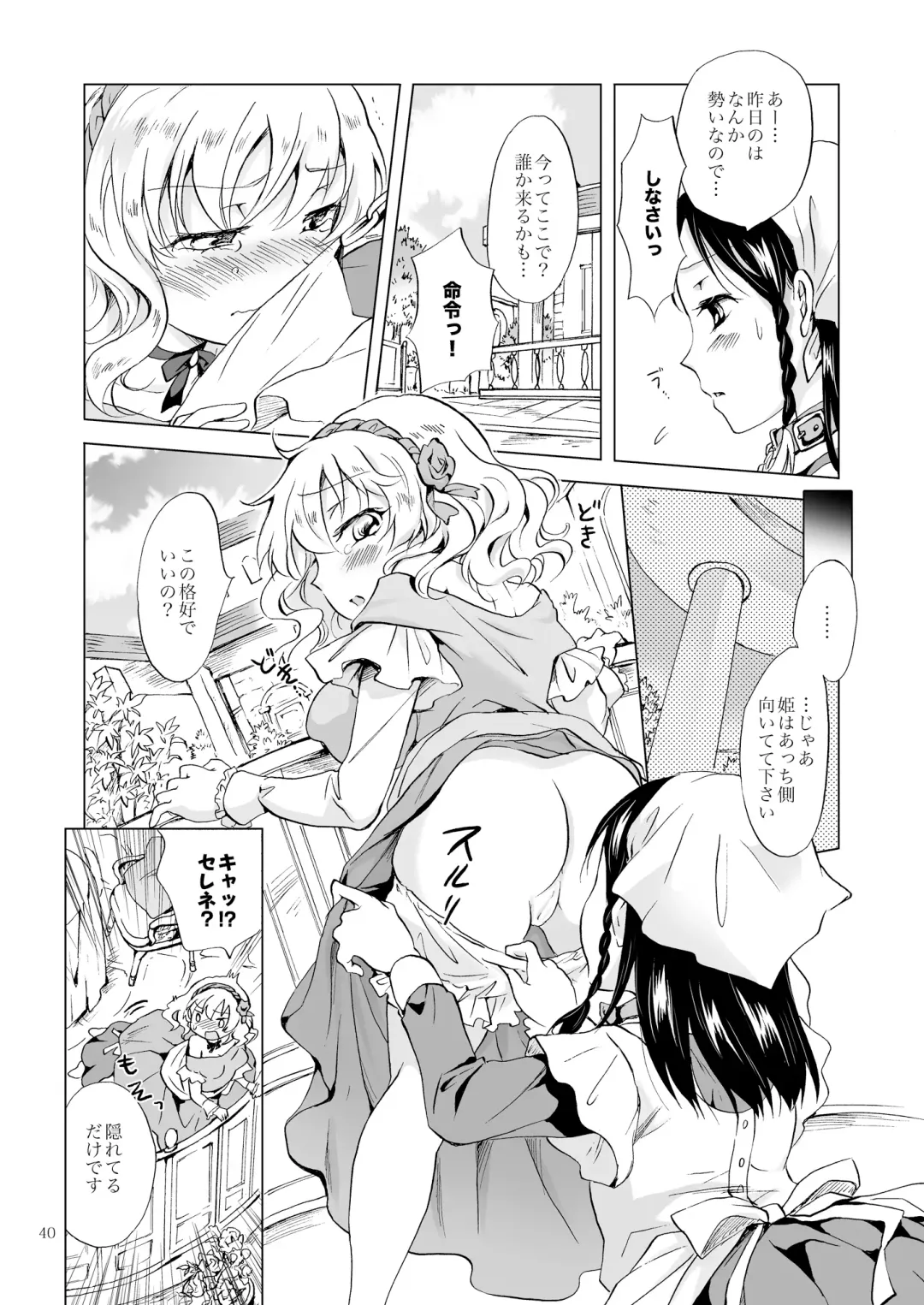 [Mira] Hime-sama to Dorei-chan Fhentai - Page 39