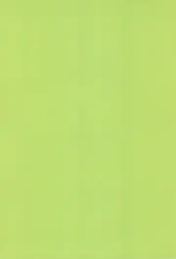 [Mercy Rabbit] Bandaikko Fhentai - Page 2