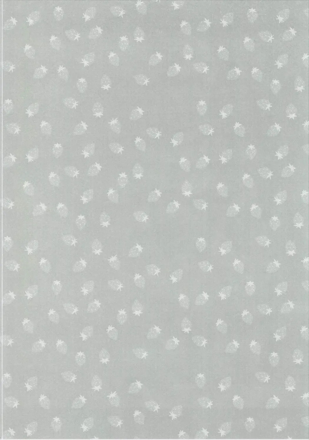 [Kibii Mocha] Kashima Tokusei Fruit Sandwich Meshiagare Fhentai - Page 3