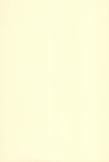 [Isawa Nohri] Orange Album Fhentai - Page 21