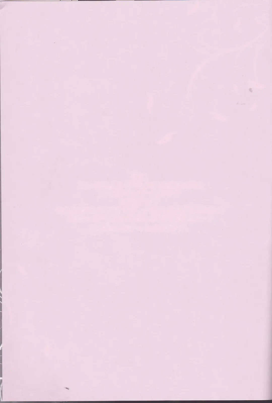 [Ijiro Suika] Kurorufu Fhentai - Page 2