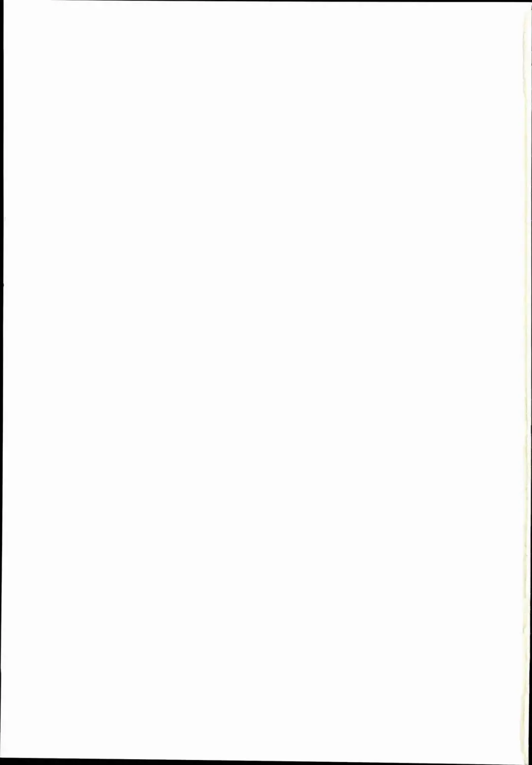 [Kibii Mocha] Kashima Tokusei Fruit Sandwich Meshiagare Fhentai - Page 23