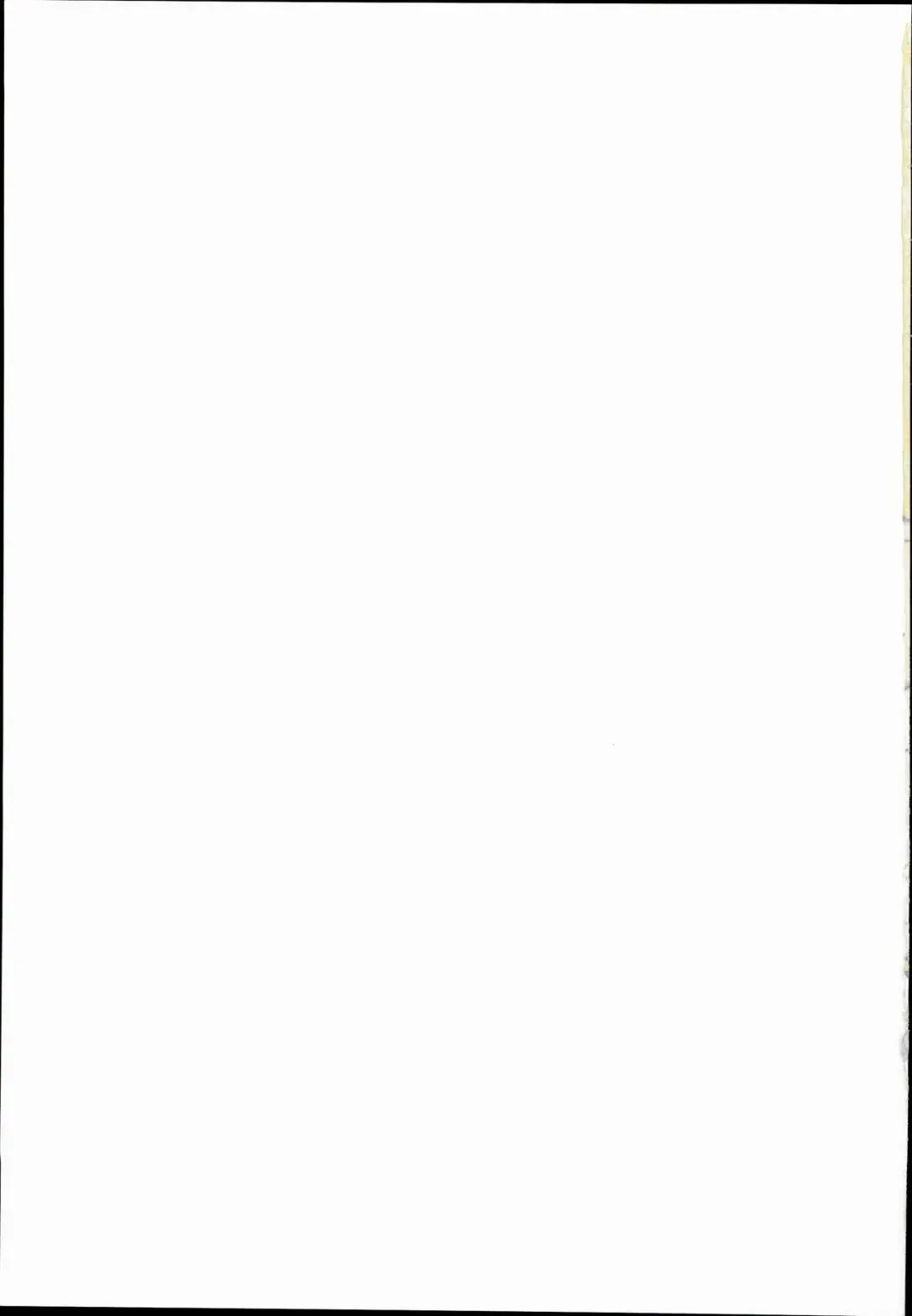 [Niisan] Bokura no Nazrin wa Bukiyou Kawaii! Fhentai - Page 31